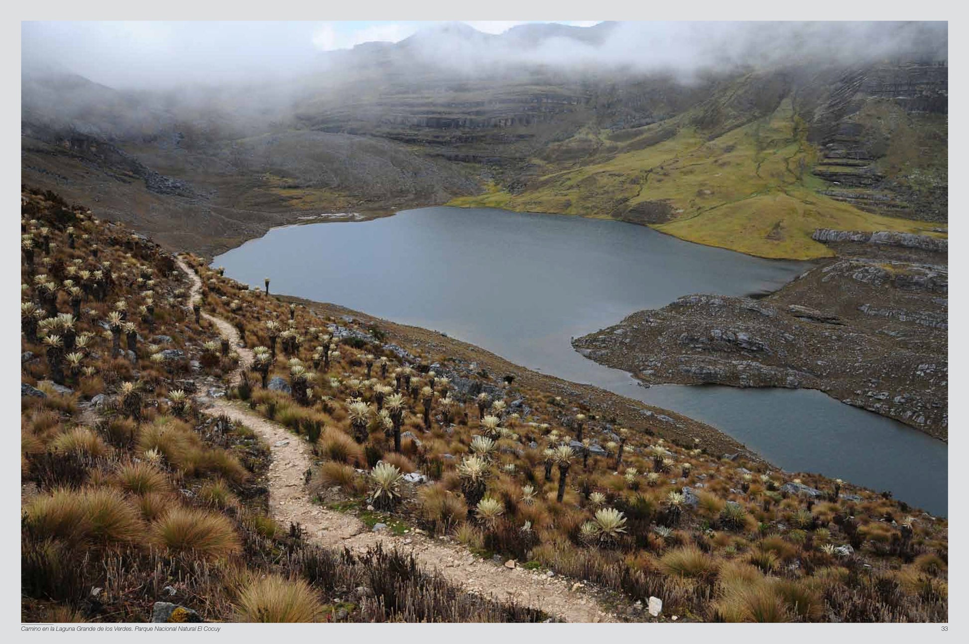 Trekking Colombia -Weaving The Planet & Villegas Editores-Libros