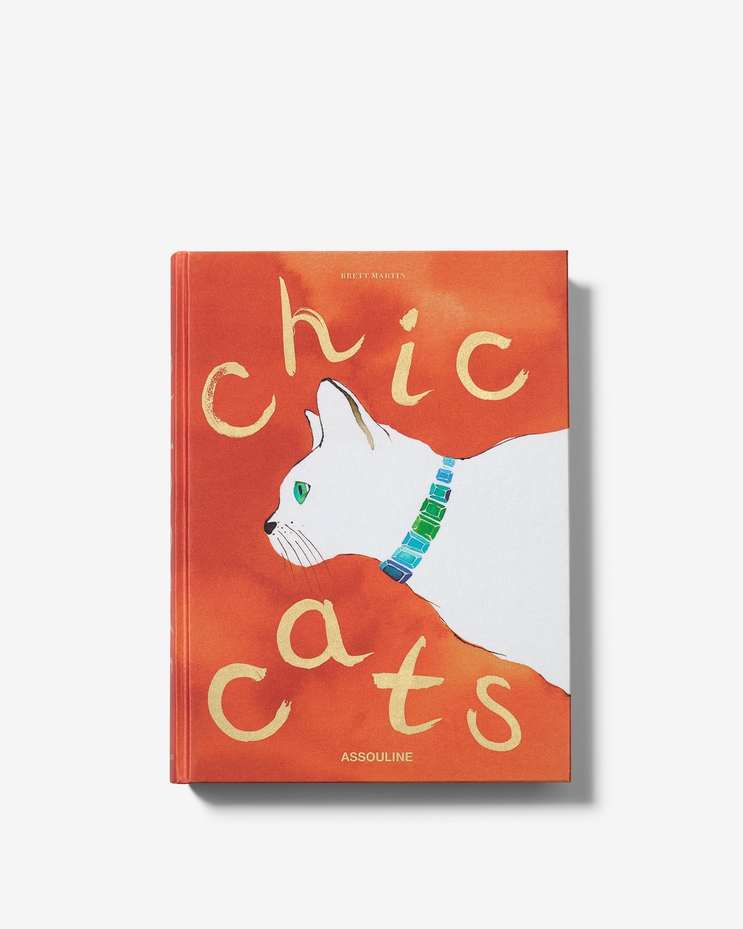 GATOS CHIC