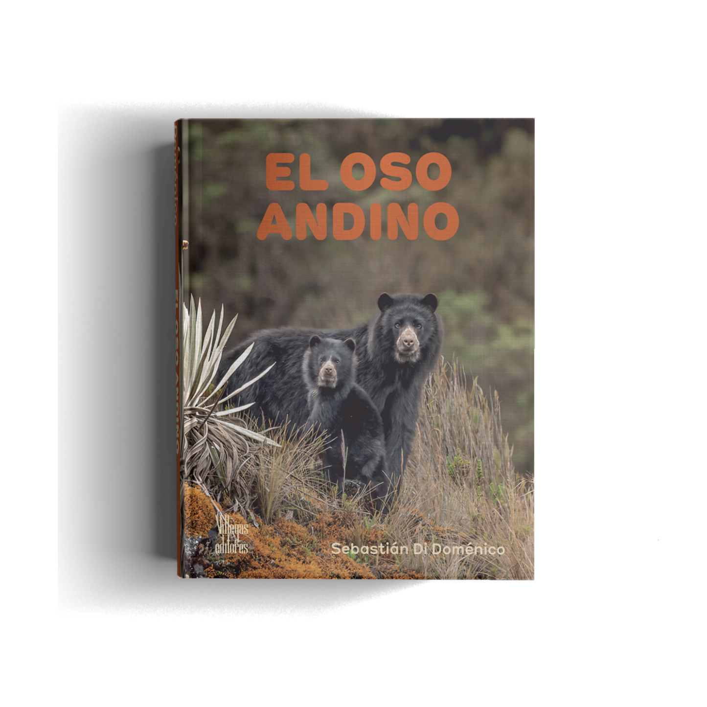 EL OSO ANDINO