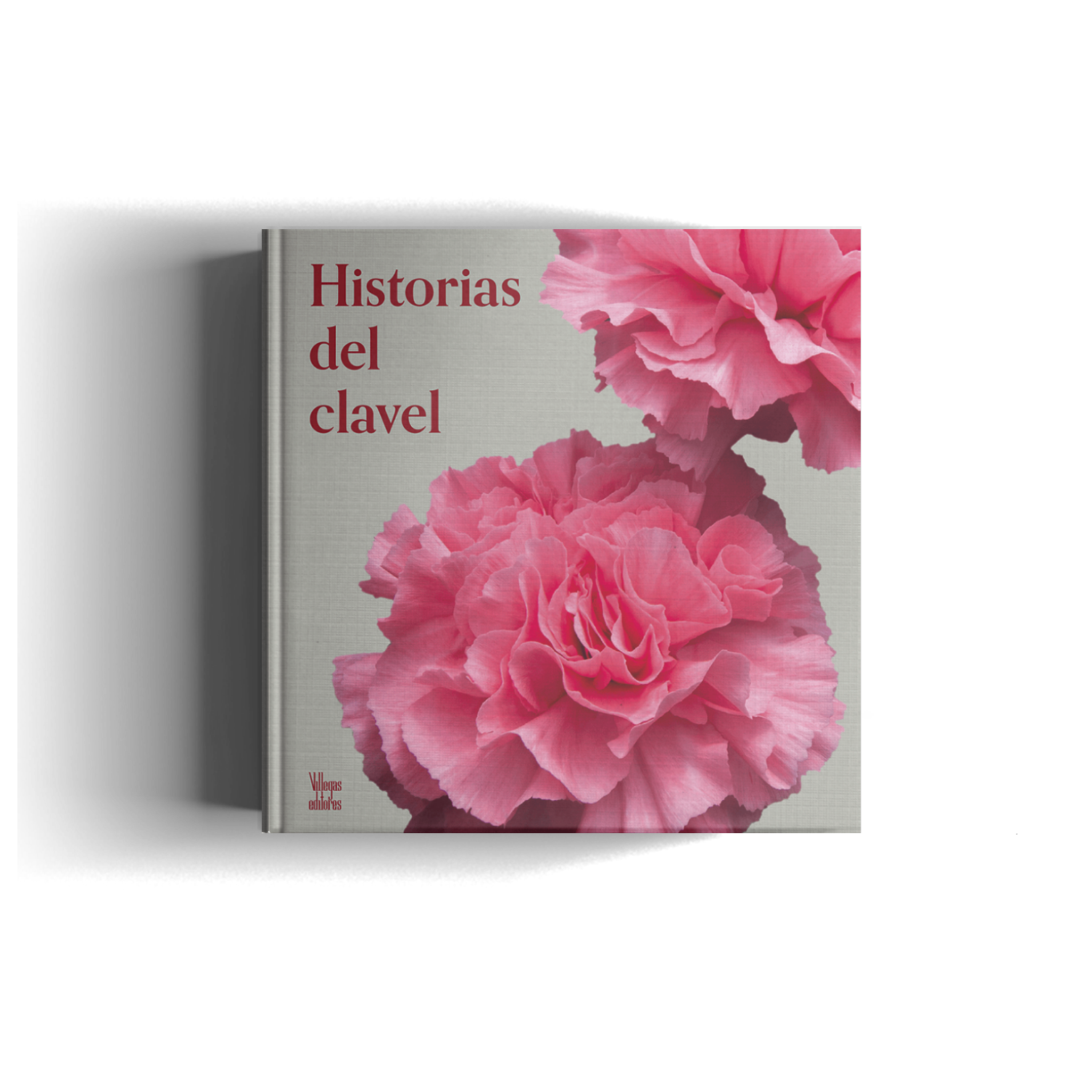 HISTORIAS DEL CLAVEL