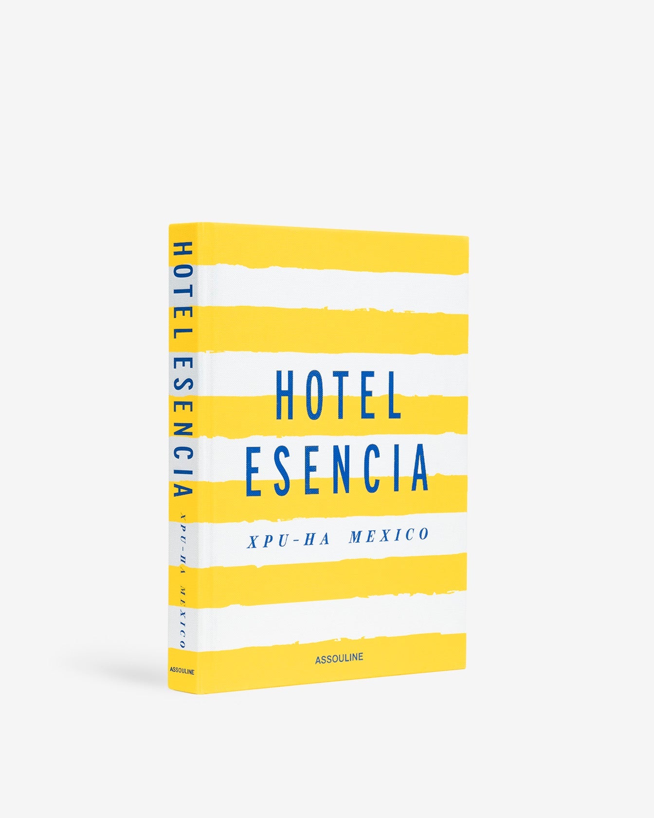 HOTEL ESENCIA