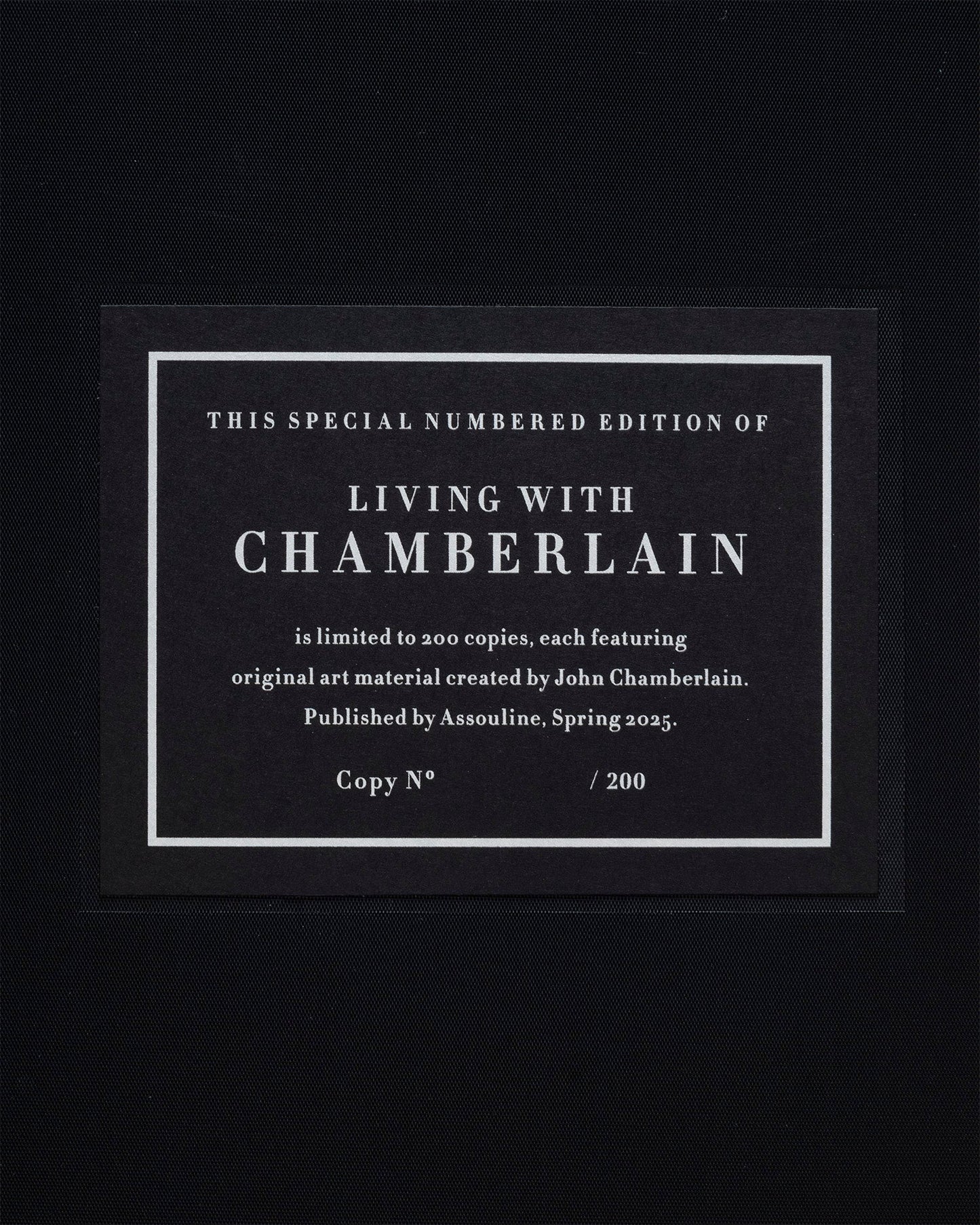 VIVIENDO CON CHAMBERLAIN, ARTE EN RESIDENCIA (EDICIÓN ESPECIAL)