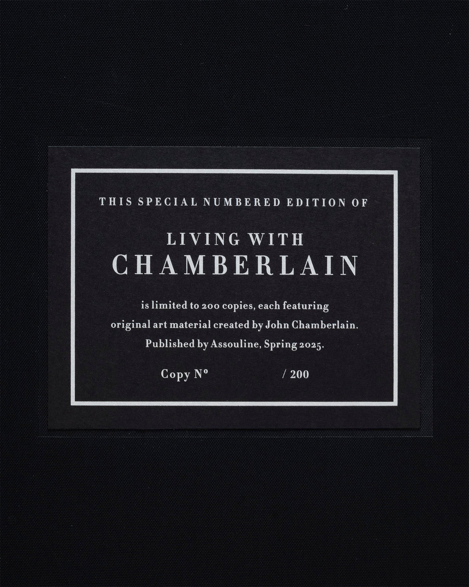 VIVIENDO CON CHAMBERLAIN, ARTE EN RESIDENCIA (EDICIÓN ESPECIAL)