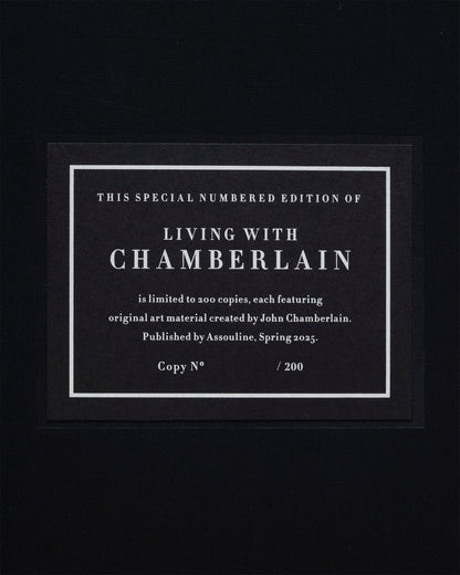 VIVIENDO CON CHAMBERLAIN, ARTE EN RESIDENCIA (EDICIÓN ESPECIAL)
