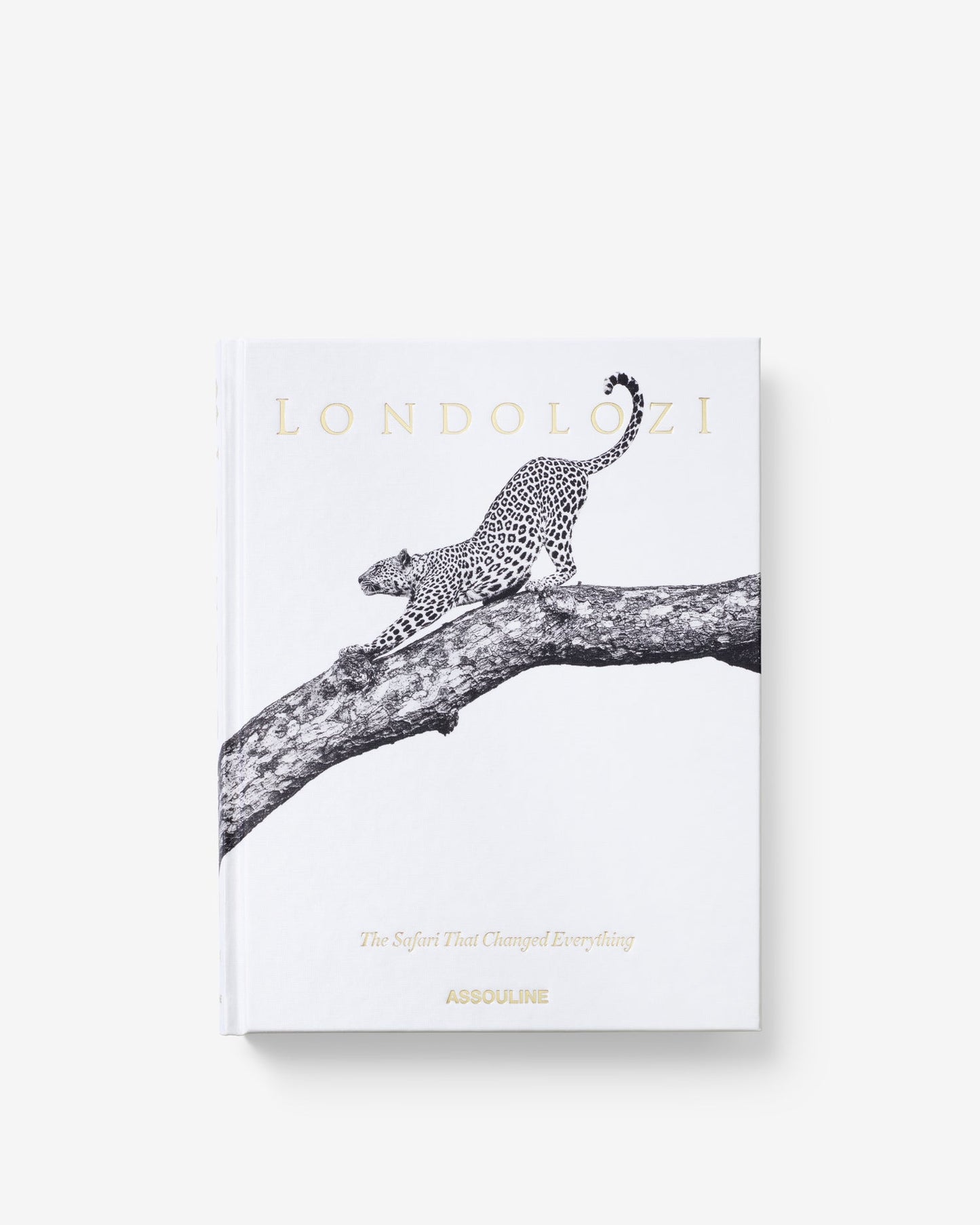 LONDOLOZI: EL SAFARI QUE CAMBIÓ TODO
