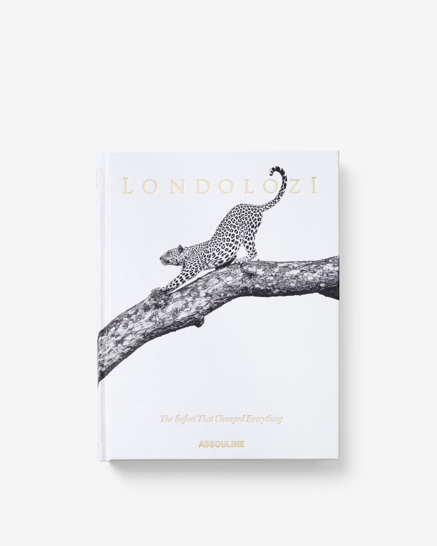 LONDOLOZI: EL SAFARI QUE CAMBIÓ TODO