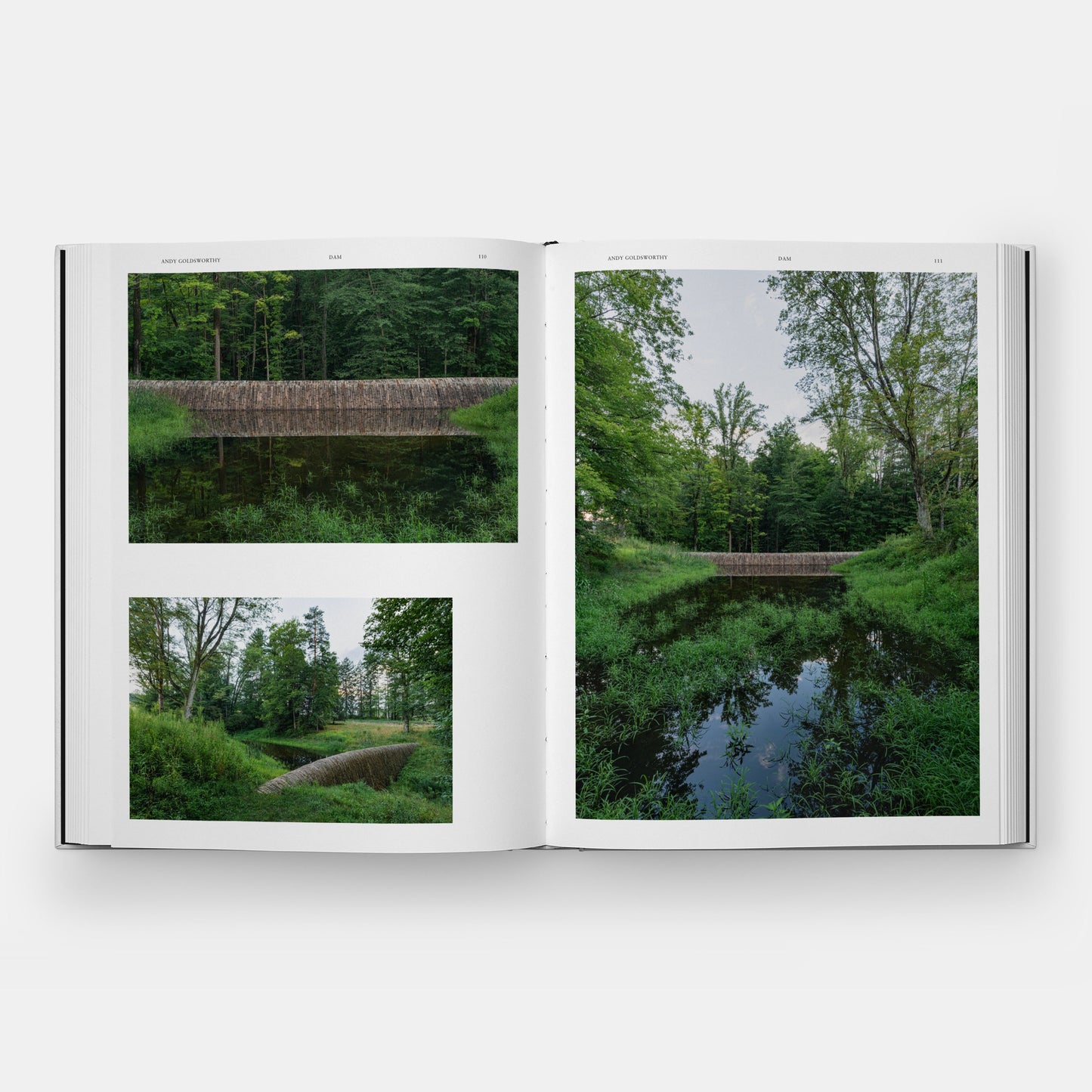 Arte en la Naturaleza: Parque de Esculturas Rowdy Meadow