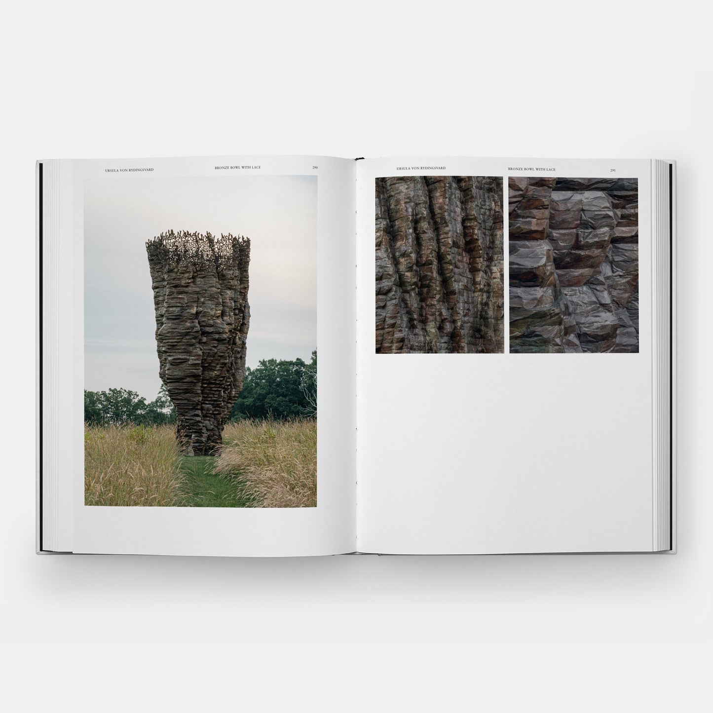 Arte en la Naturaleza: Parque de Esculturas Rowdy Meadow