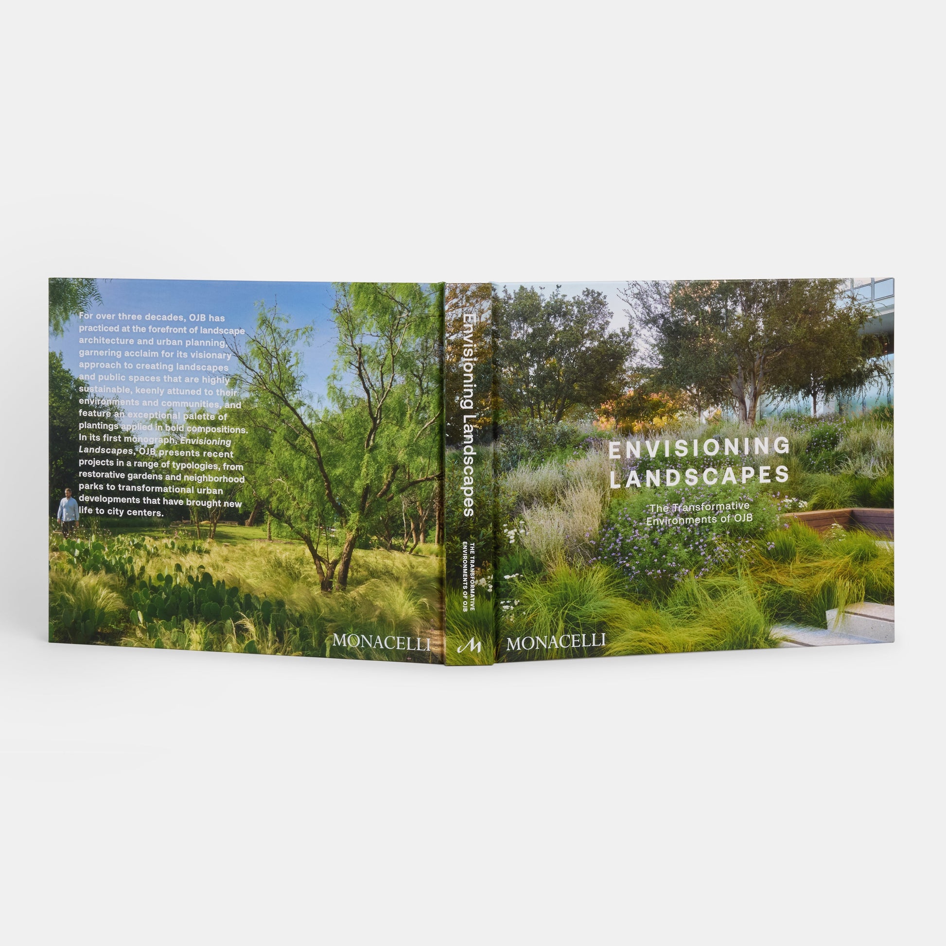 Imaginando paisajes: Los entornos transformadores de OJB
