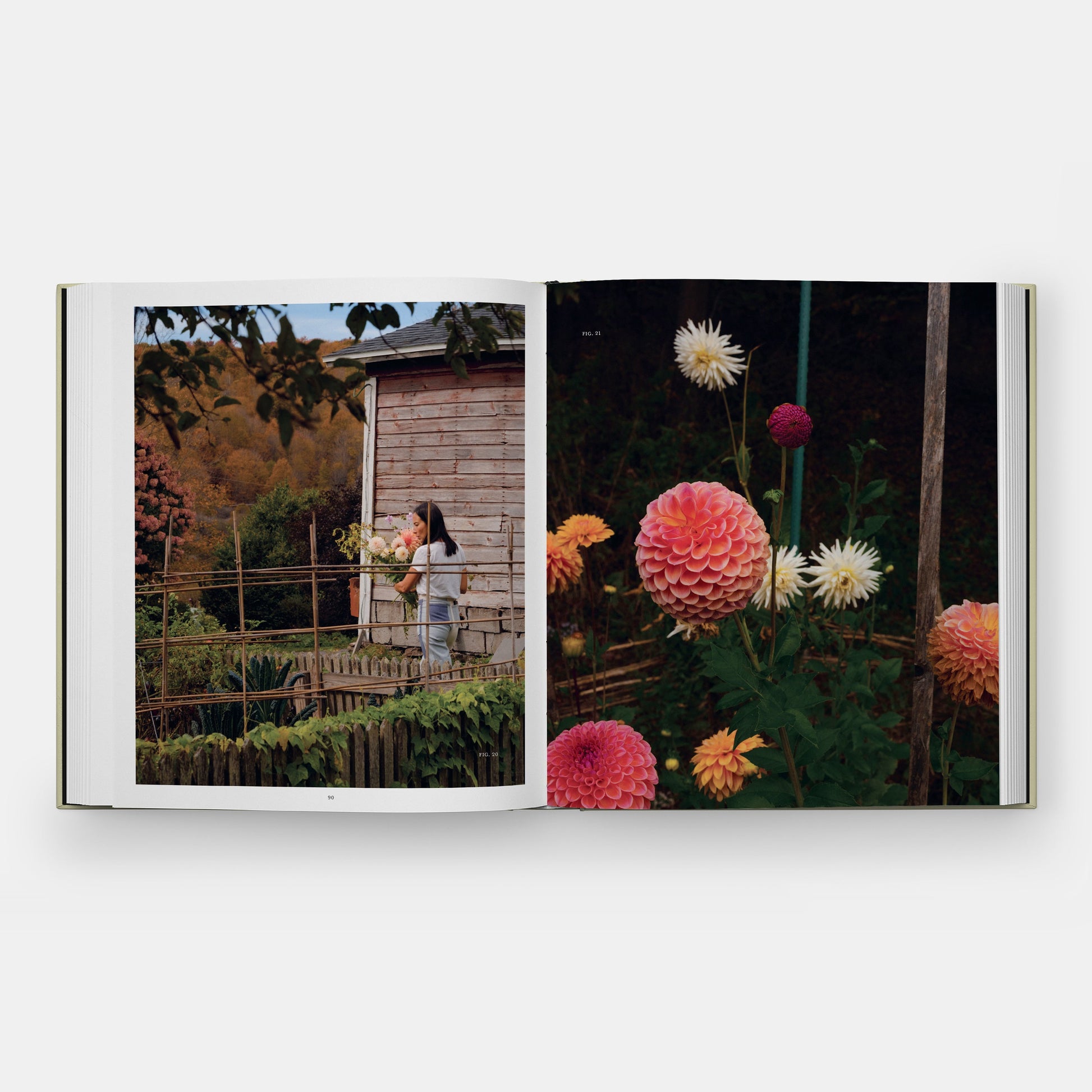 ONCE AROUND THE SUN: SEASONAL RITUALS, FOOD, AND STORIES FROM A HOUSE UPSTATE