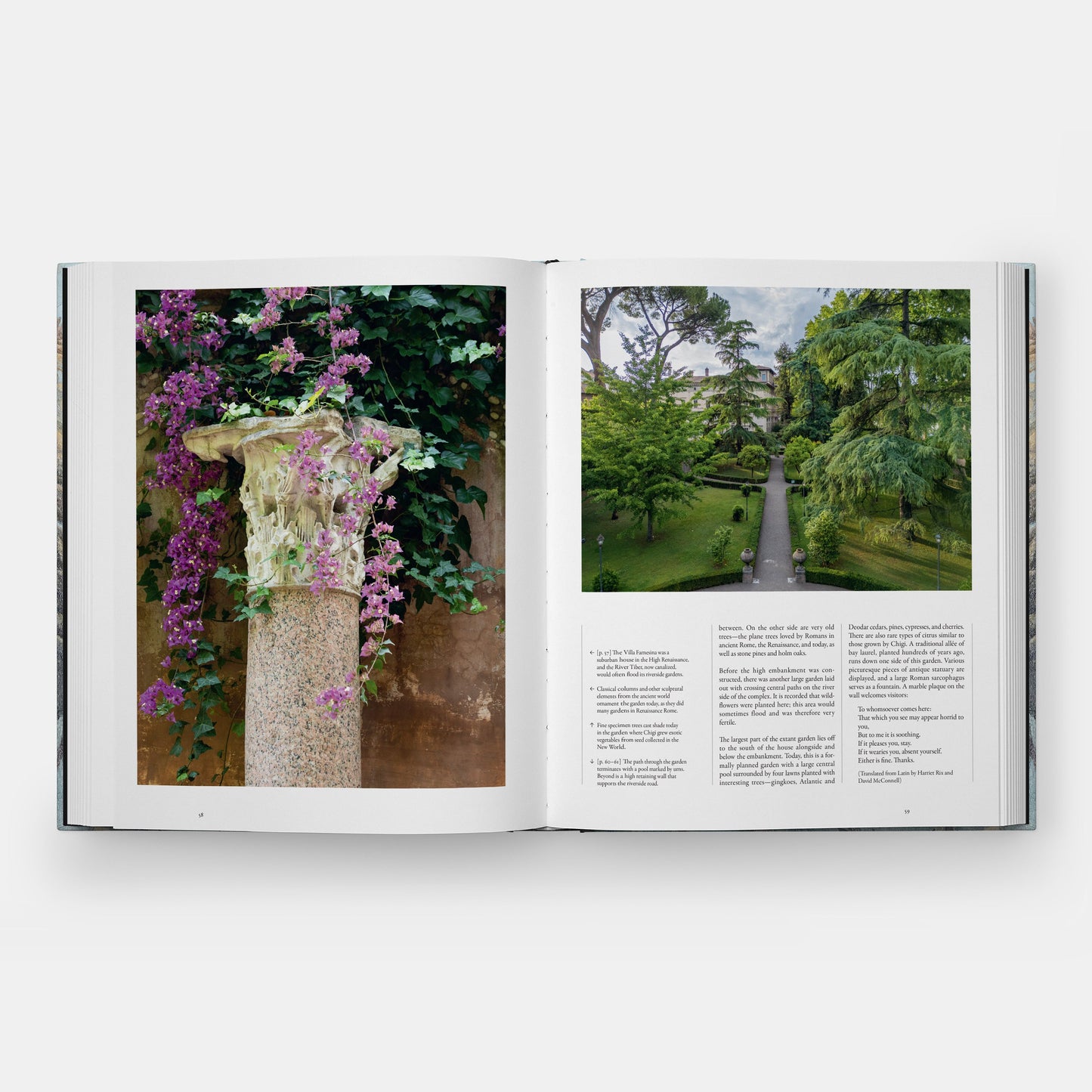 ROME: CITY OF GARDENS