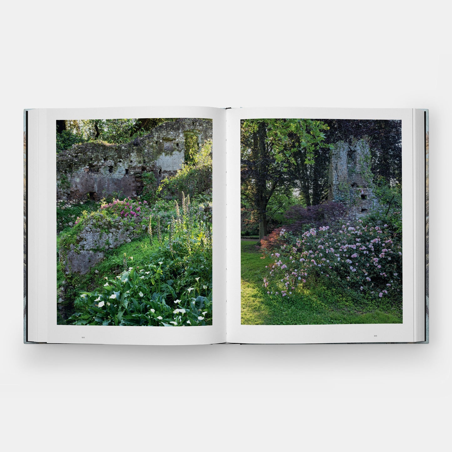 ROME: CITY OF GARDENS