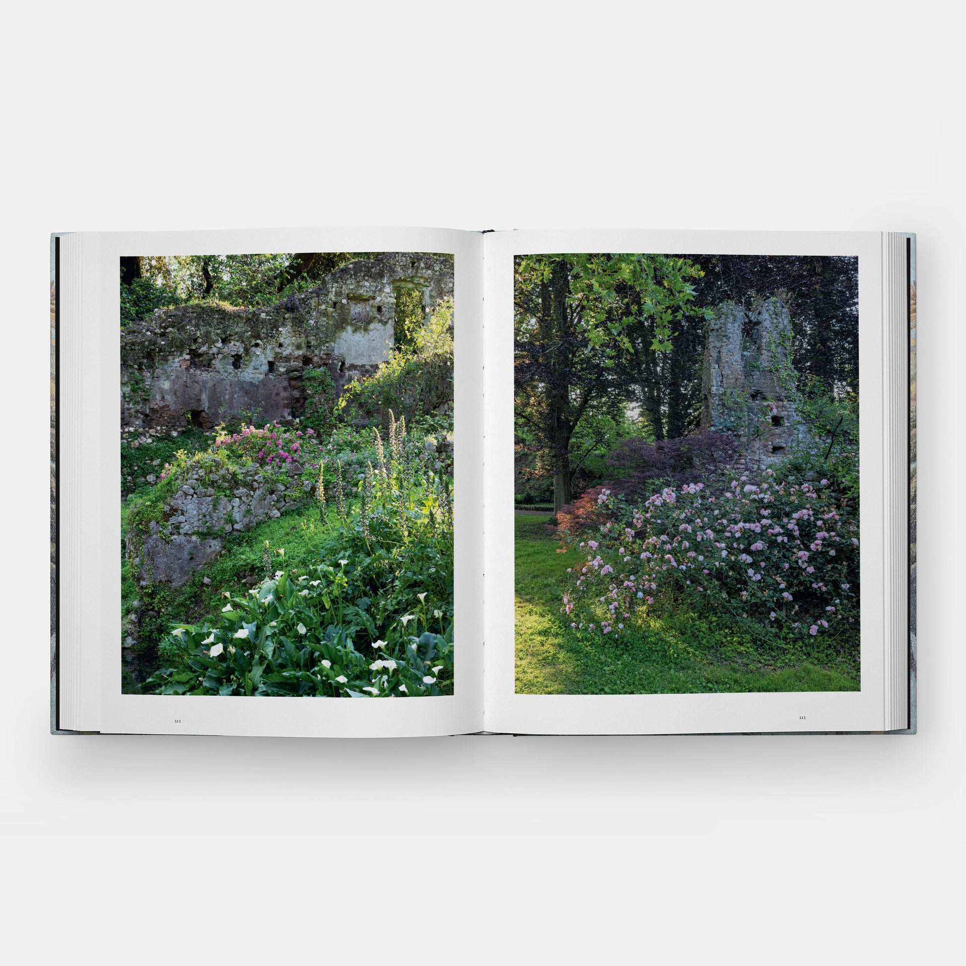 ROME: CITY OF GARDENS