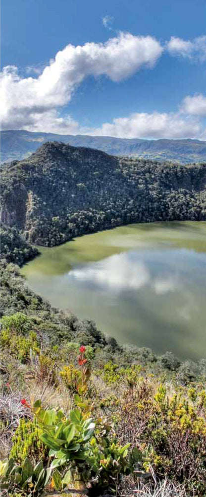 Another Look at Colombia -Weaving The Planet & Villegas Editores-Libros