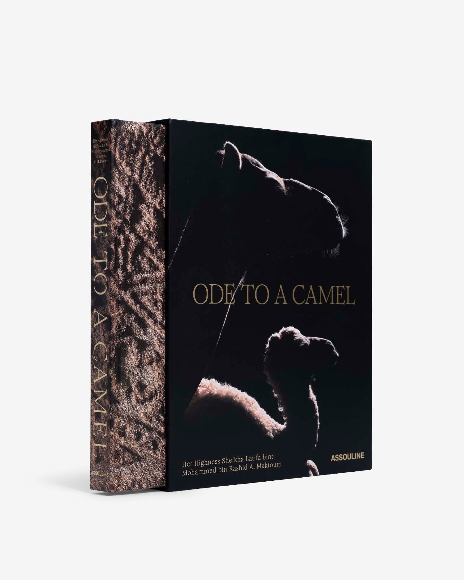 ODE TO A CAMEL