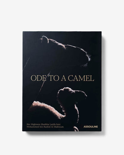 ODE TO A CAMEL