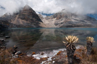 National Natural Parks of Colombia -Weaving The Planet & Villegas Editores-Libros