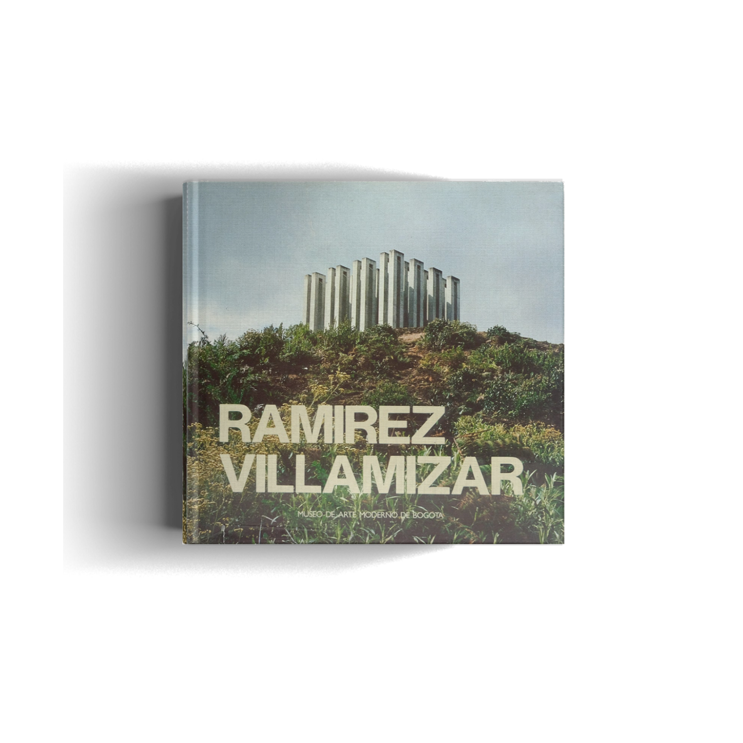 RAMIREZ VILLAMIZAR