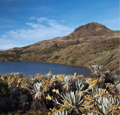 Áreas protegidas de Boyacá-Weaving The Planet & Villegas Editores-Libros