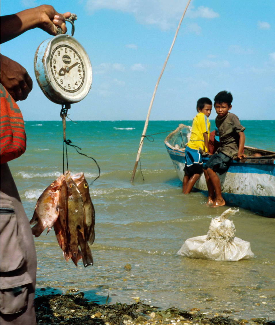 Apalaanchi Pescadores Wayuu-Weaving The Planet & Villegas Editores-Libros