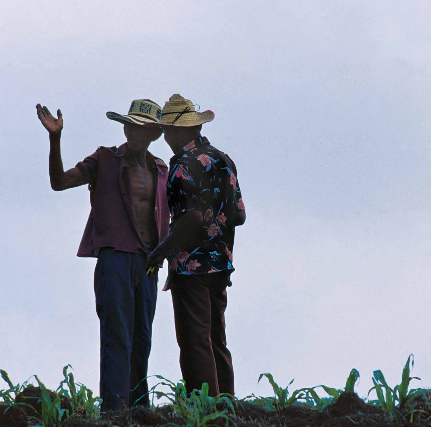 Colombia Campesina (Segunda Edición)-Weaving The Planet & Villegas Editores-Libros