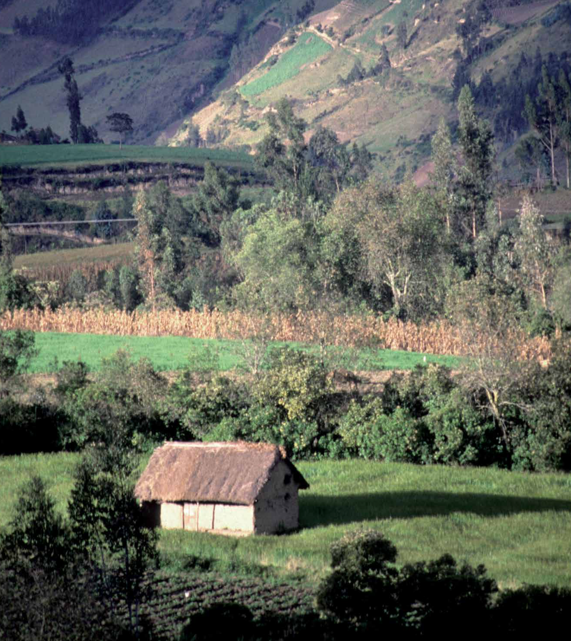 Colombia Campesina (Segunda Edición)-Weaving The Planet & Villegas Editores-Libros