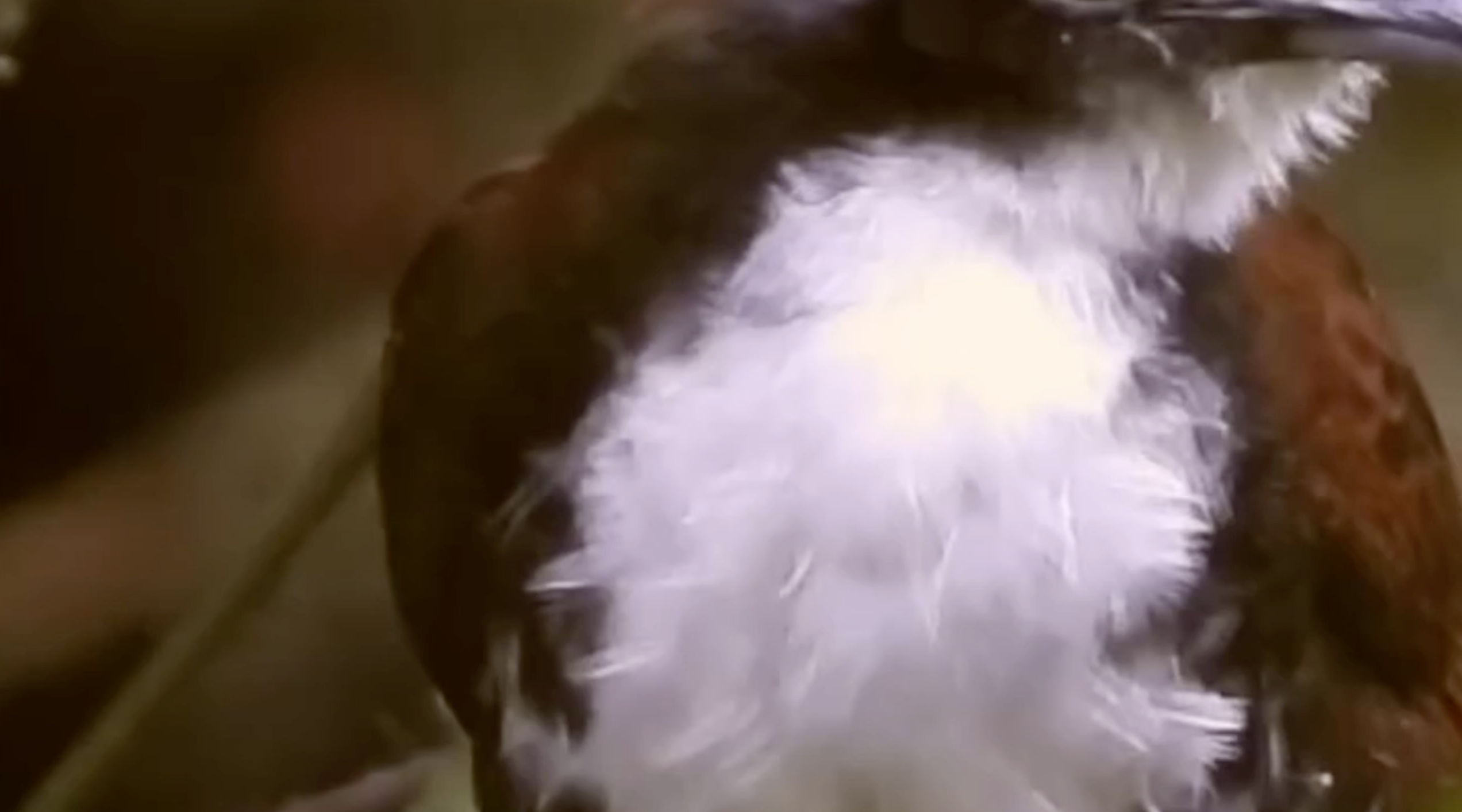 Weaving the world, 
one product, one smile, one connection, 
at a time.