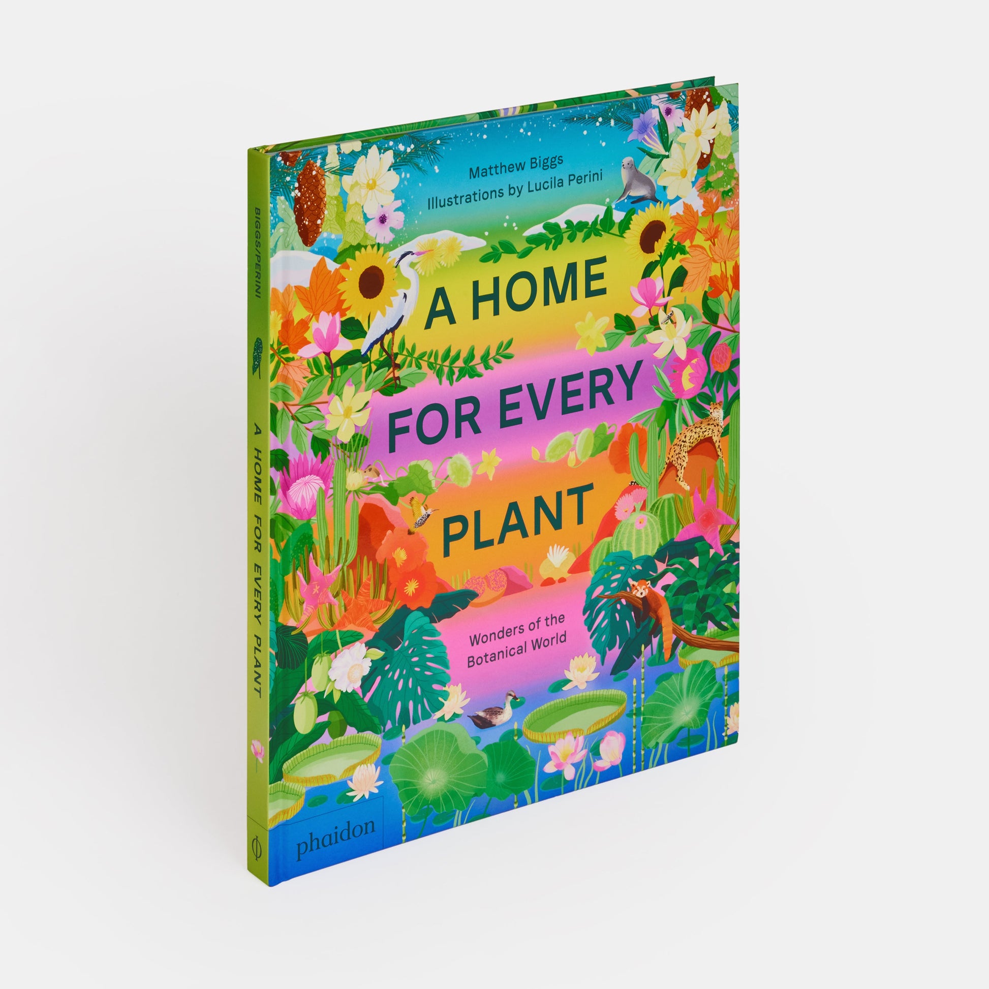 Un hogar para cada planta: maravillas del mundo botánico