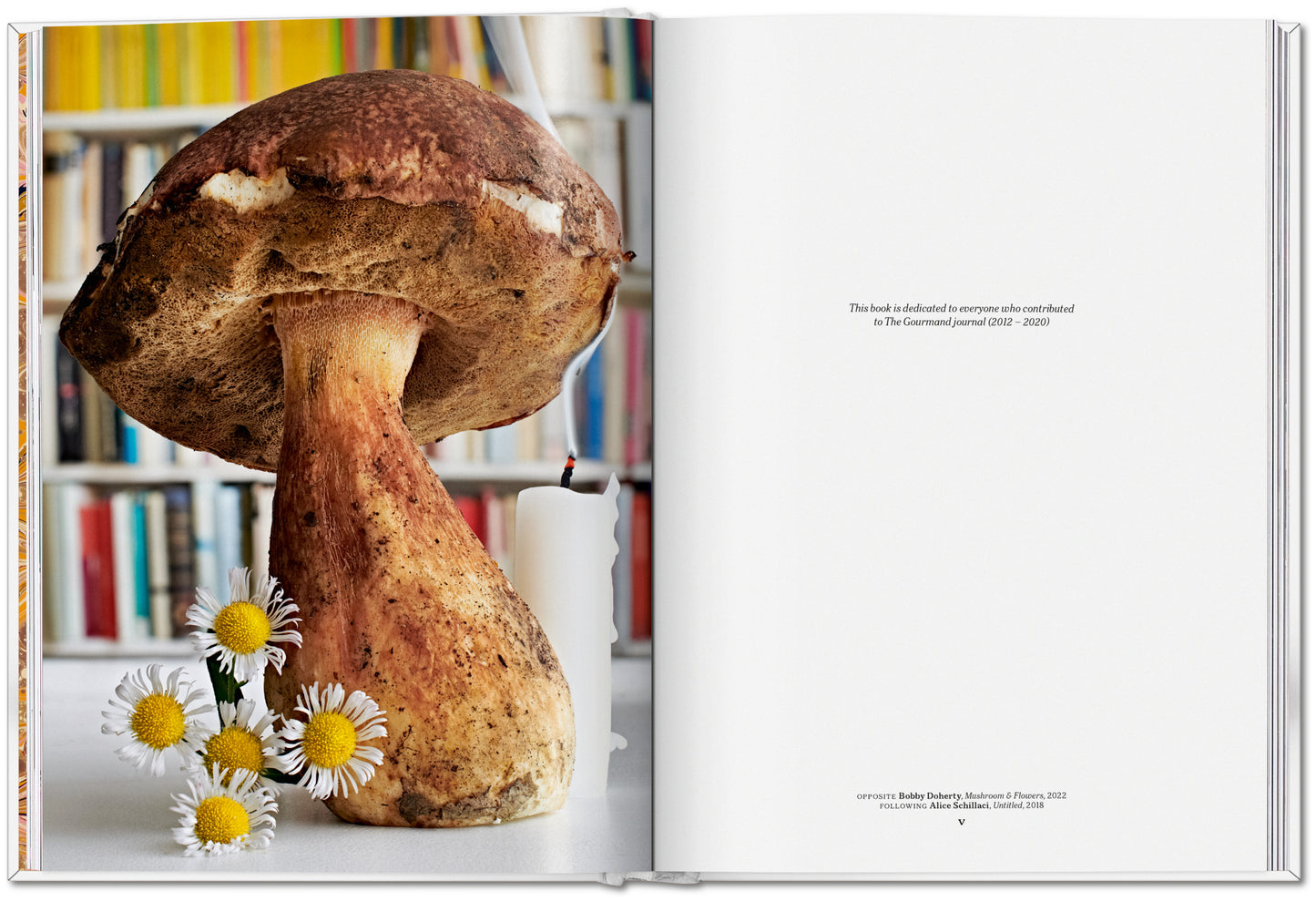 La Seta del Gourmand. Una Colección de Historias y Recetas