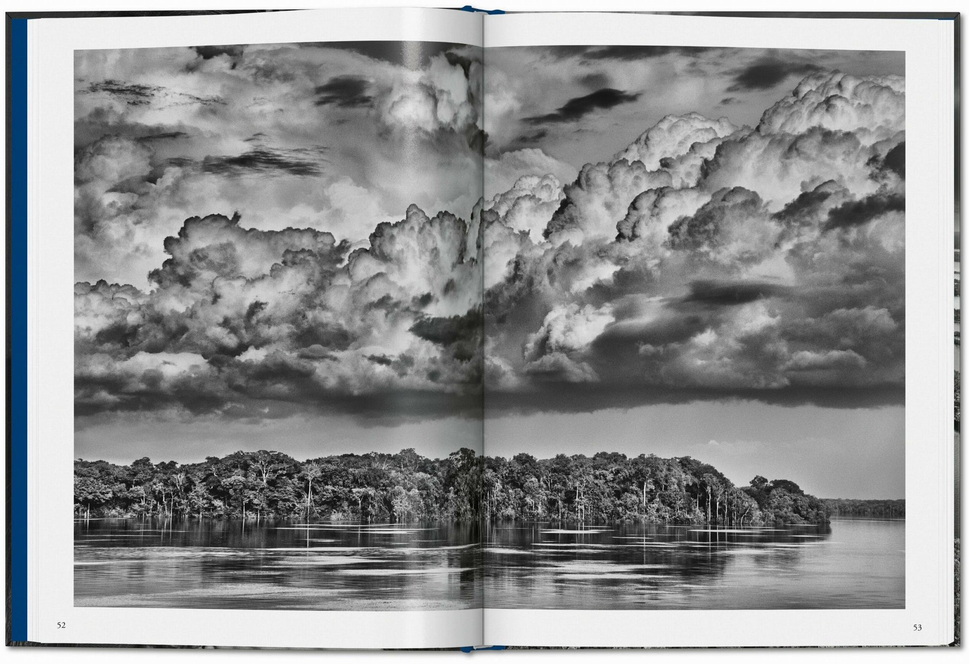 Sebastião Salgado. Amazonia