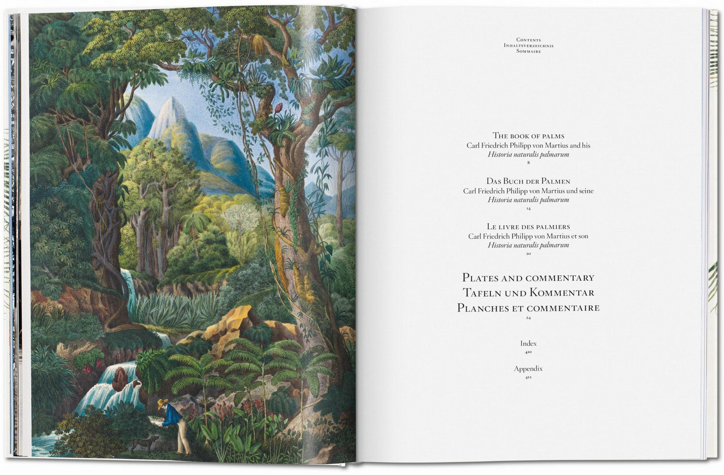 Martius. El libro de las palmeras