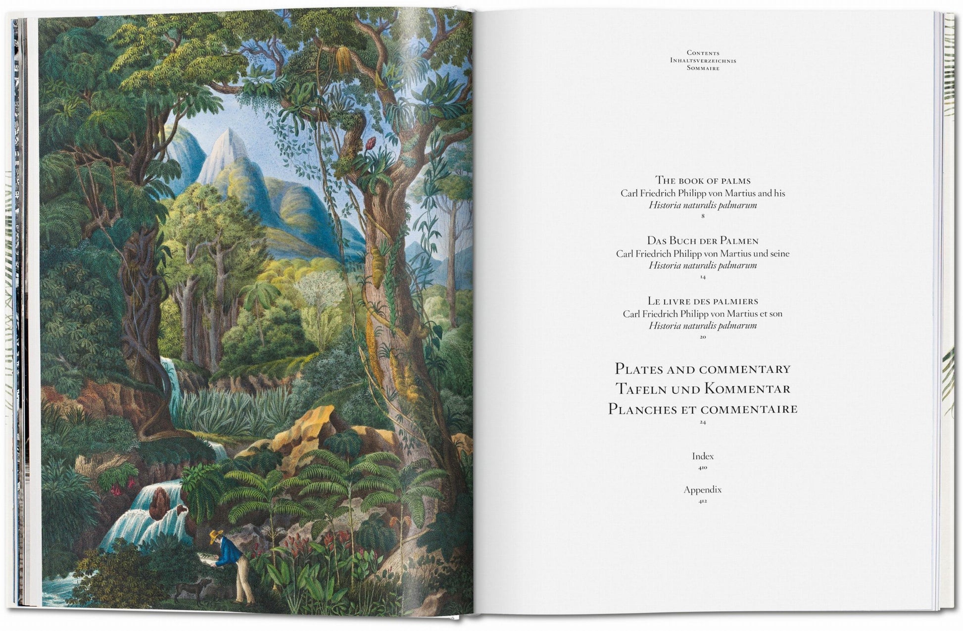Martius. El libro de las palmeras