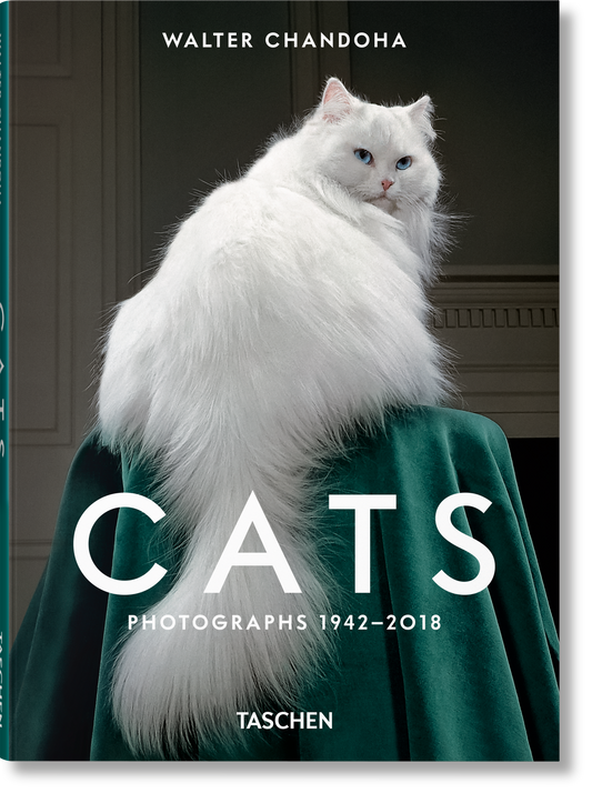 Walter Chandoha. Gatos. Fotografías 1942–2018
