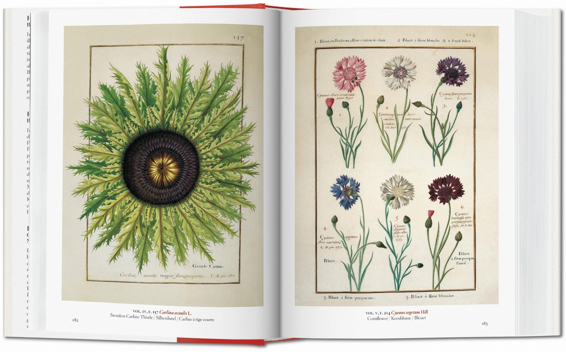 Un jardín del Edén. Obras maestras de la ilustración botánica. 45ª ed.
