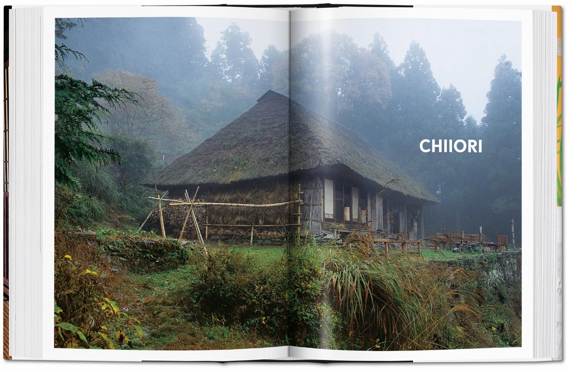 Vivir en Japón. 45.ª ed.