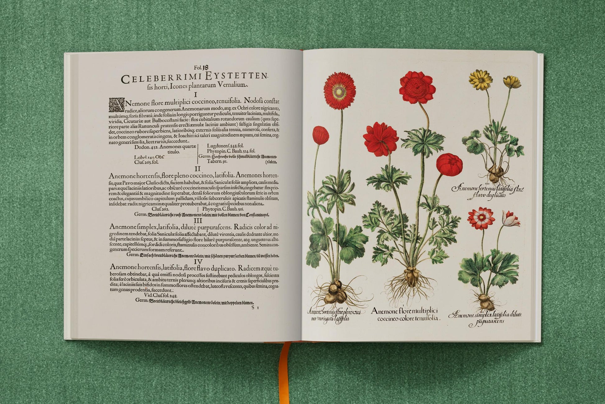Basilius Besler. El jardín de Eichstätt
