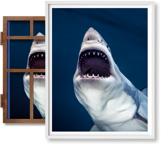 Michael Muller. Sharks, Edición de arte n.º 1-100 «Tear You Apart»
