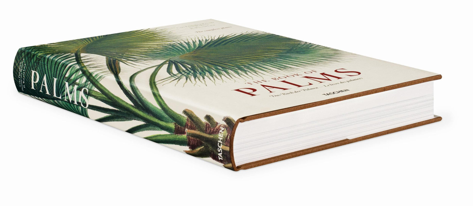 Martius. El libro de las palmeras