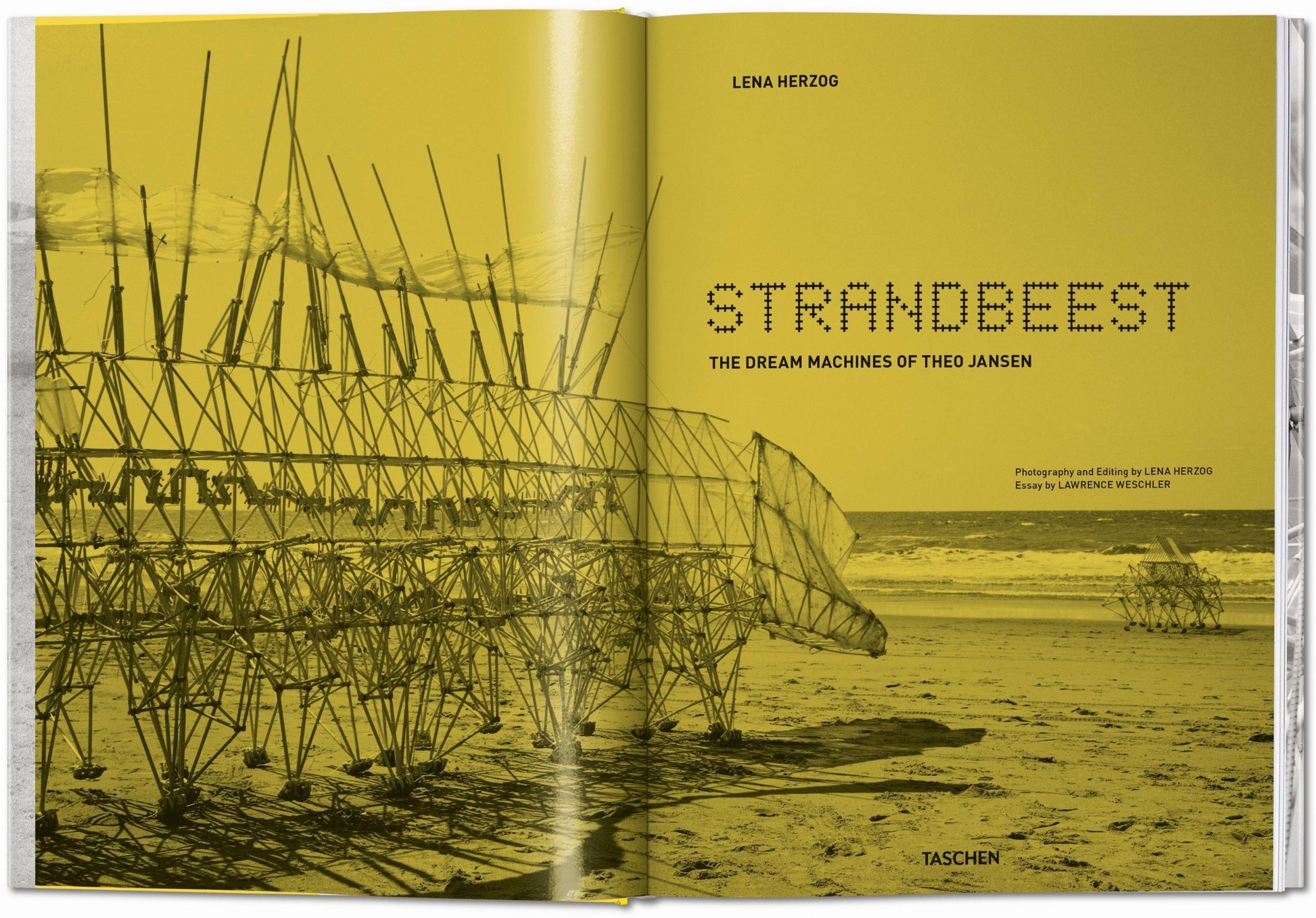 Strandbeest. Las máquinas soñadoras de Theo Jansen