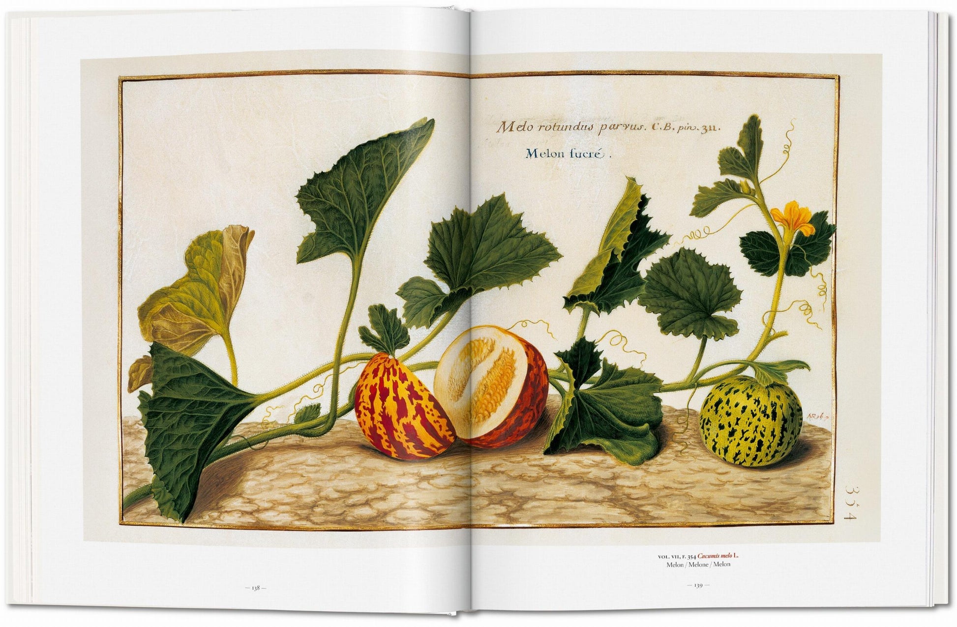 Un Jardín del Edén. Obras Maestras de la Ilustración Botánica