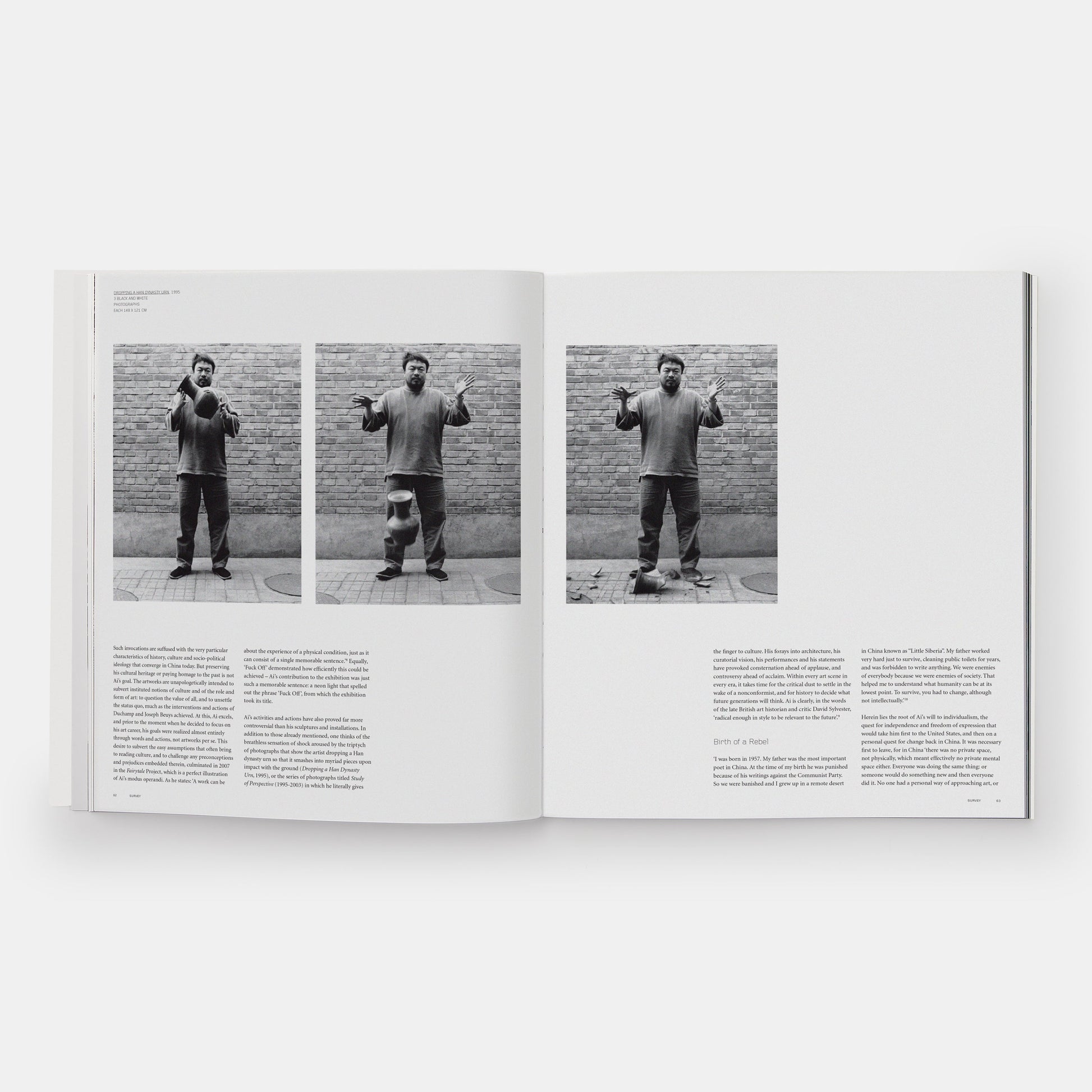 AI WEIWEI