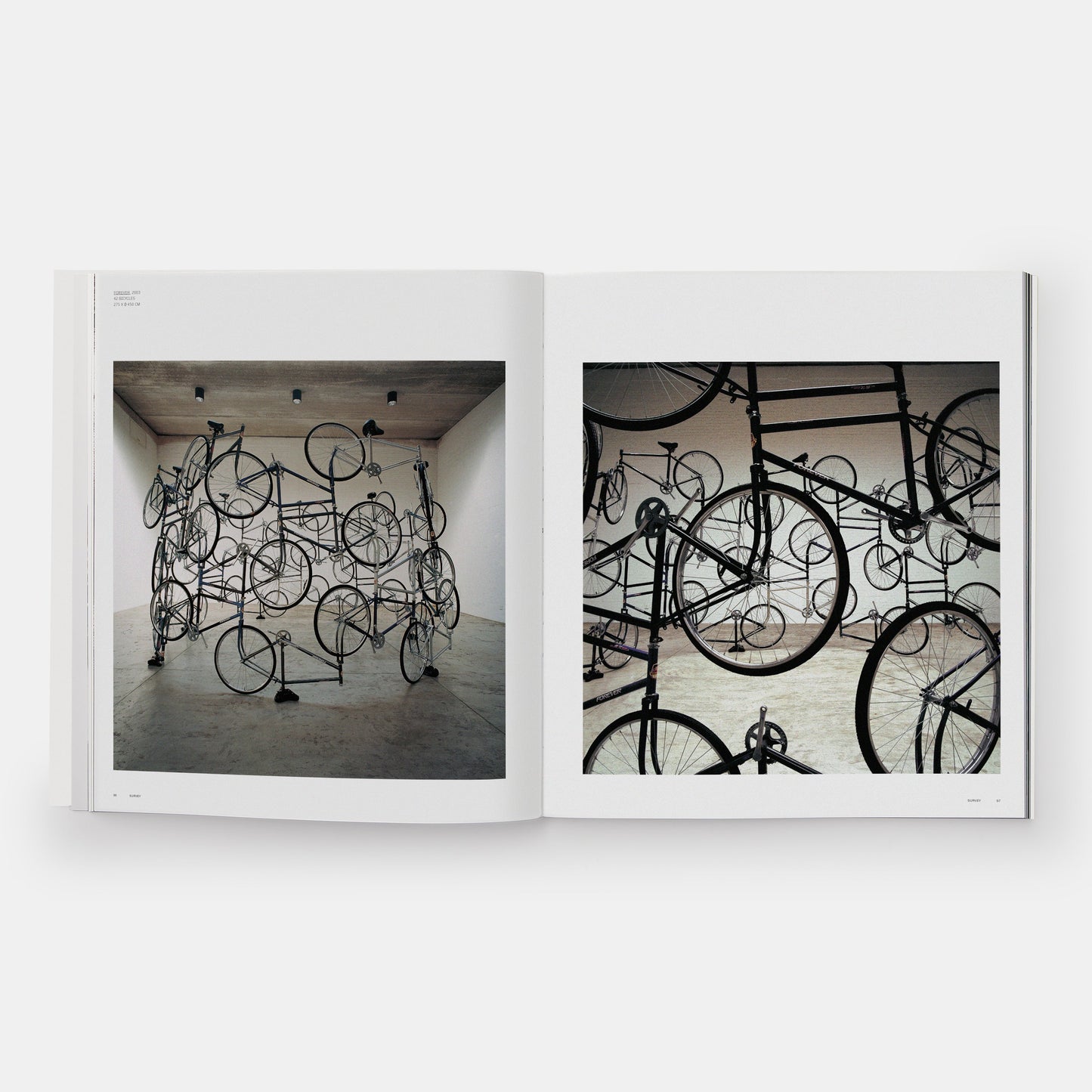 AI WEIWEI