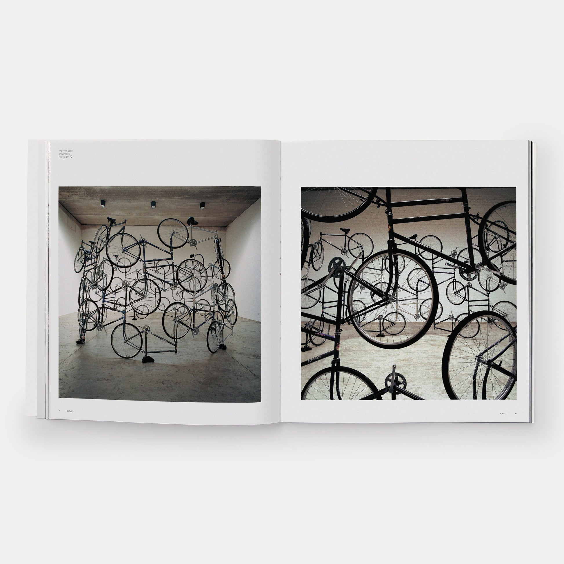 AI WEIWEI