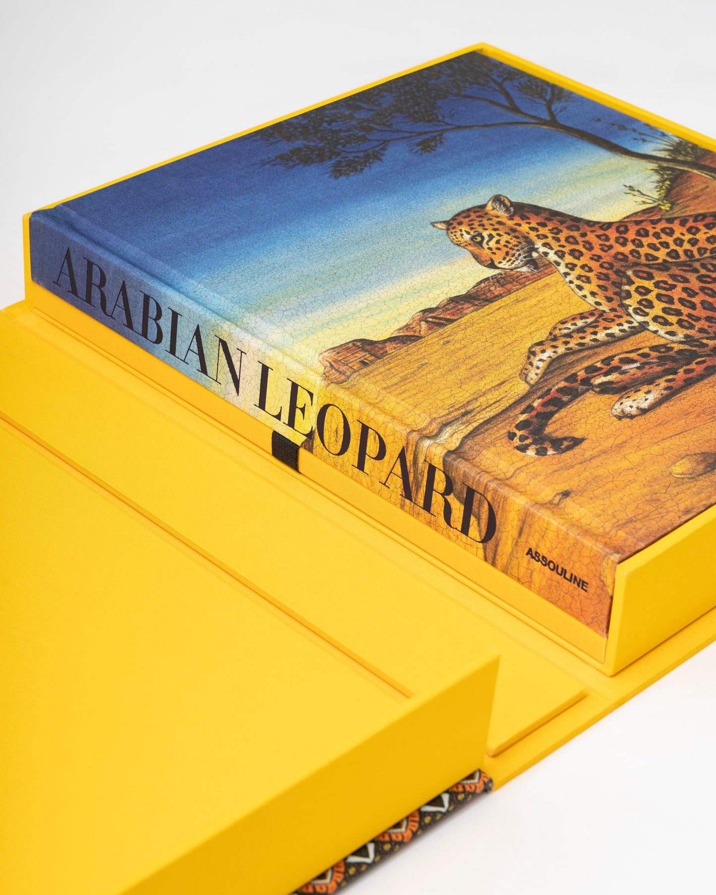 LEOPARDO DE ARABIA (DEFINITIVO)