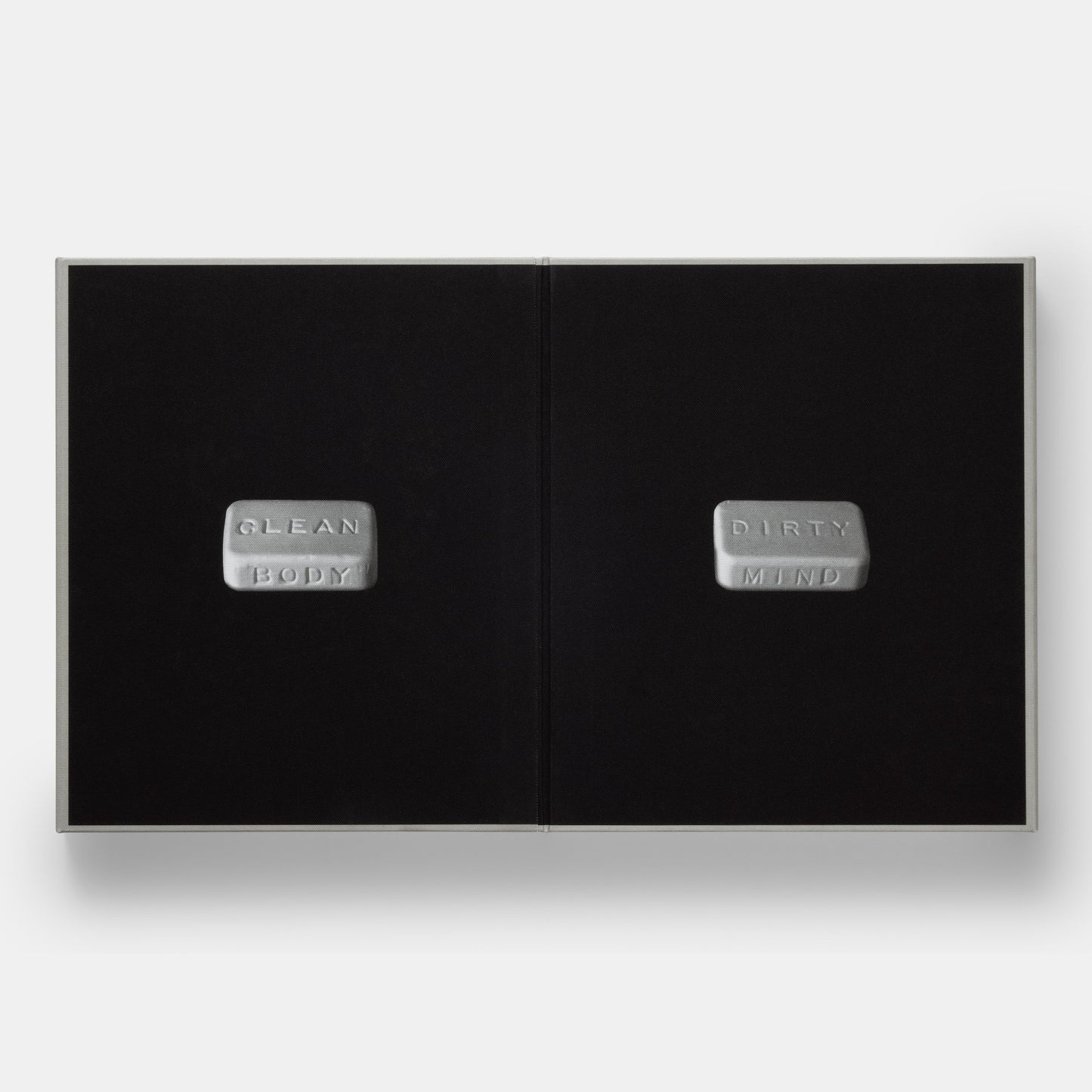 Architecture, Not Architecture: Diller Scofidio + Renfro