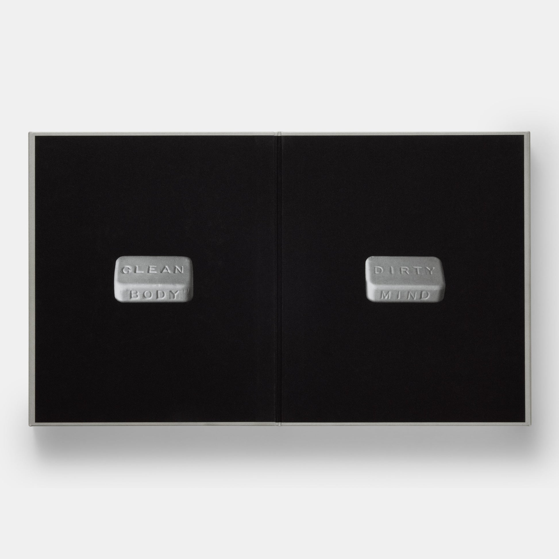 Architecture, Not Architecture: Diller Scofidio + Renfro