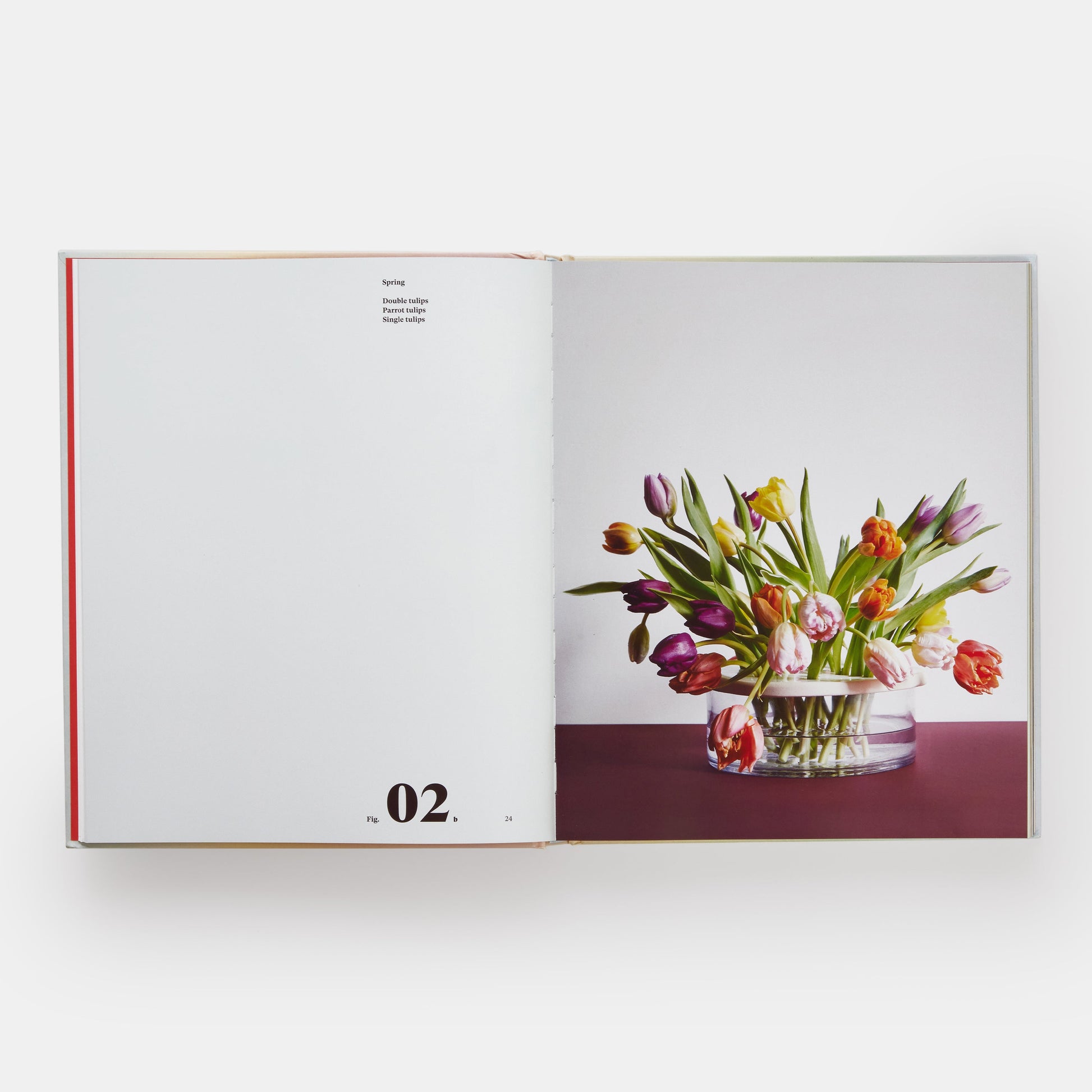 Arte en flor: encontrando inspiración en el arte y la naturaleza