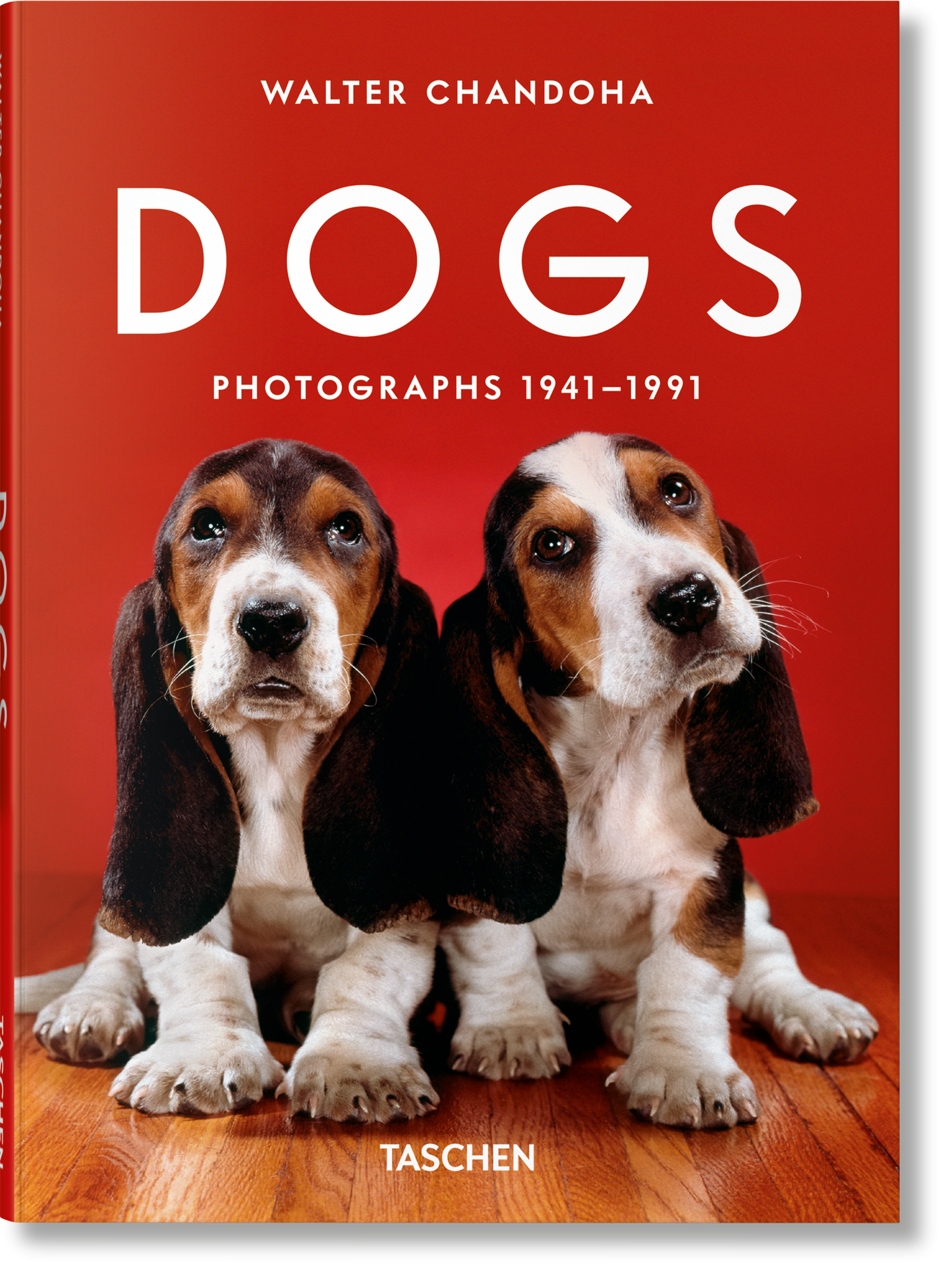 Walter Chandoha. Perros. Fotografías 1941–1991