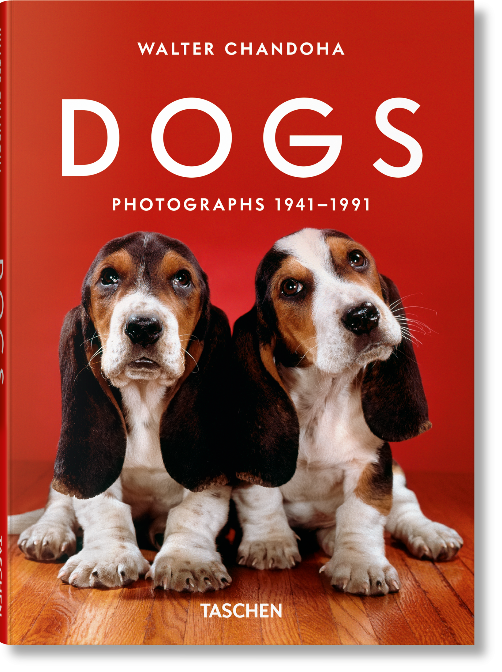 Walter Chandoha. Perros. Fotografías 1941–1991