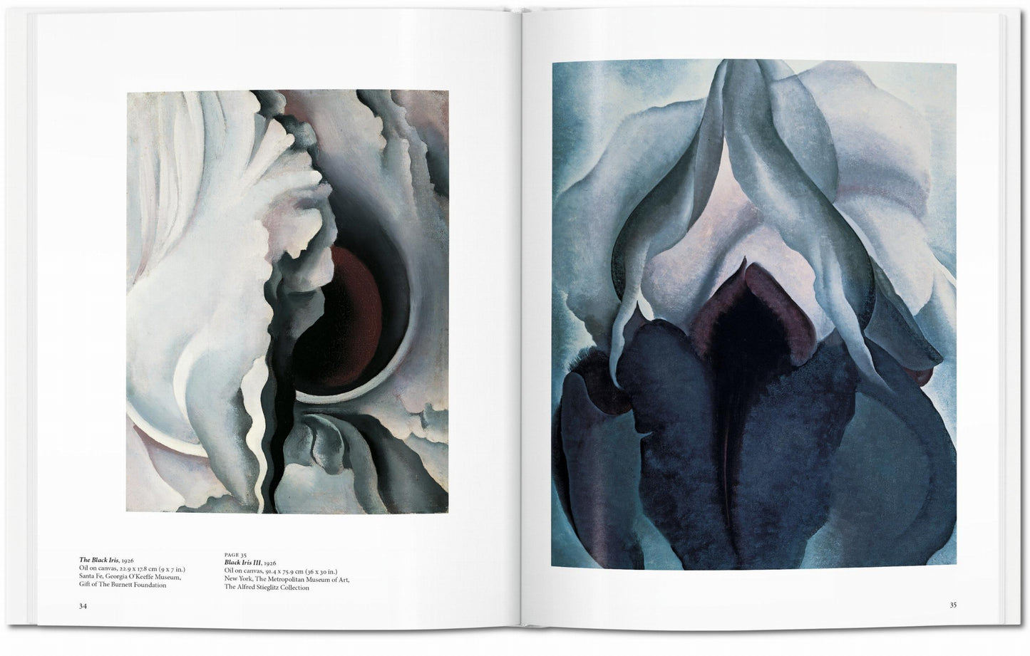 O'Keeffe. Arte Básico